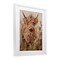 Stupell Industries Curly Haired Highland Cattle Framed Print Under Glass, design by Ashley Bradley